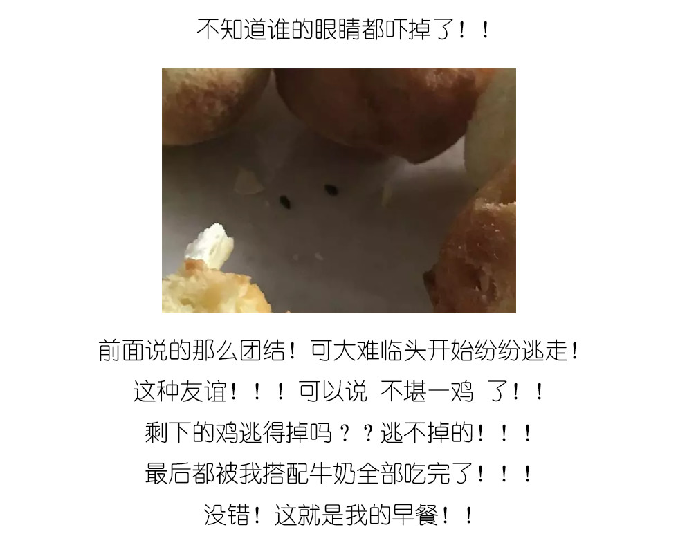 小鸡蛋糕 第 24 页