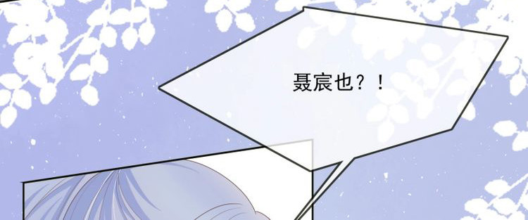 第83话 挖墙脚的狗 第 35 页
