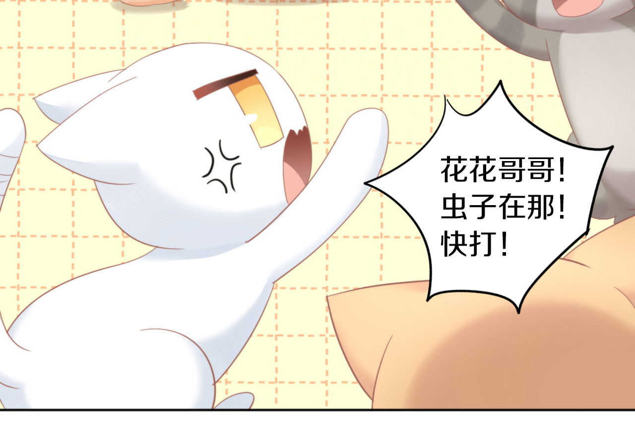第166话 猫咪花园 第 38 页