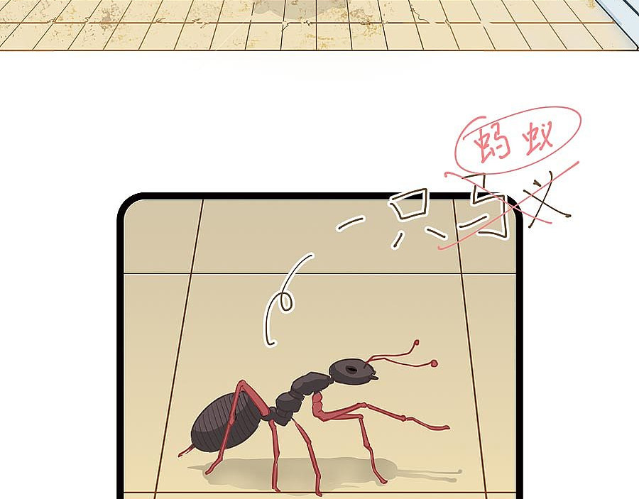 路上的垃圾 第 18 页