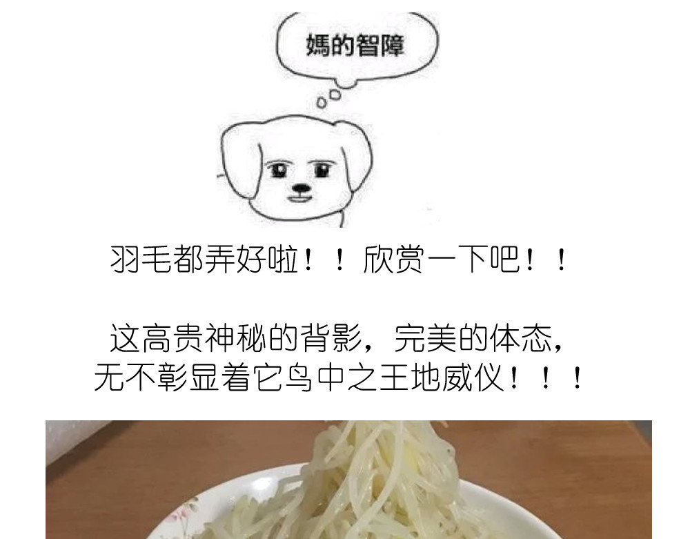 挑战漫画菜系之凤凰水晶！ 第 12 页