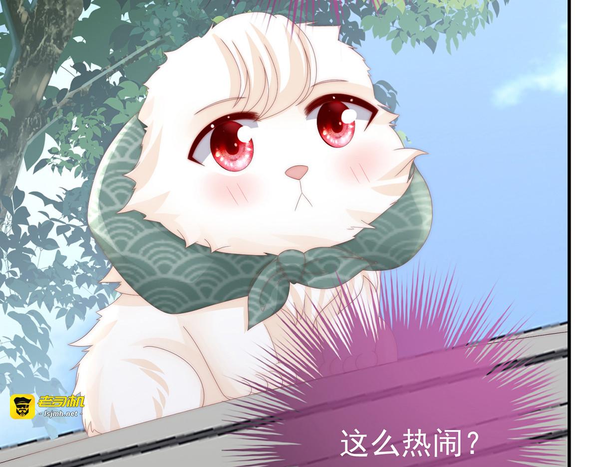 71 叫我妻主吧 第 97 页
