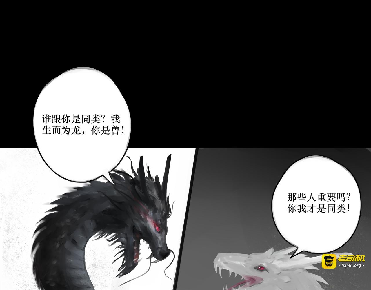 白龙江 第 41 页
