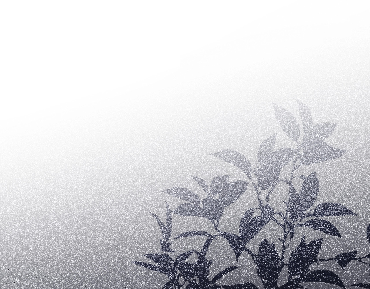第1话 神医穿越到魔法世界 第 108 页