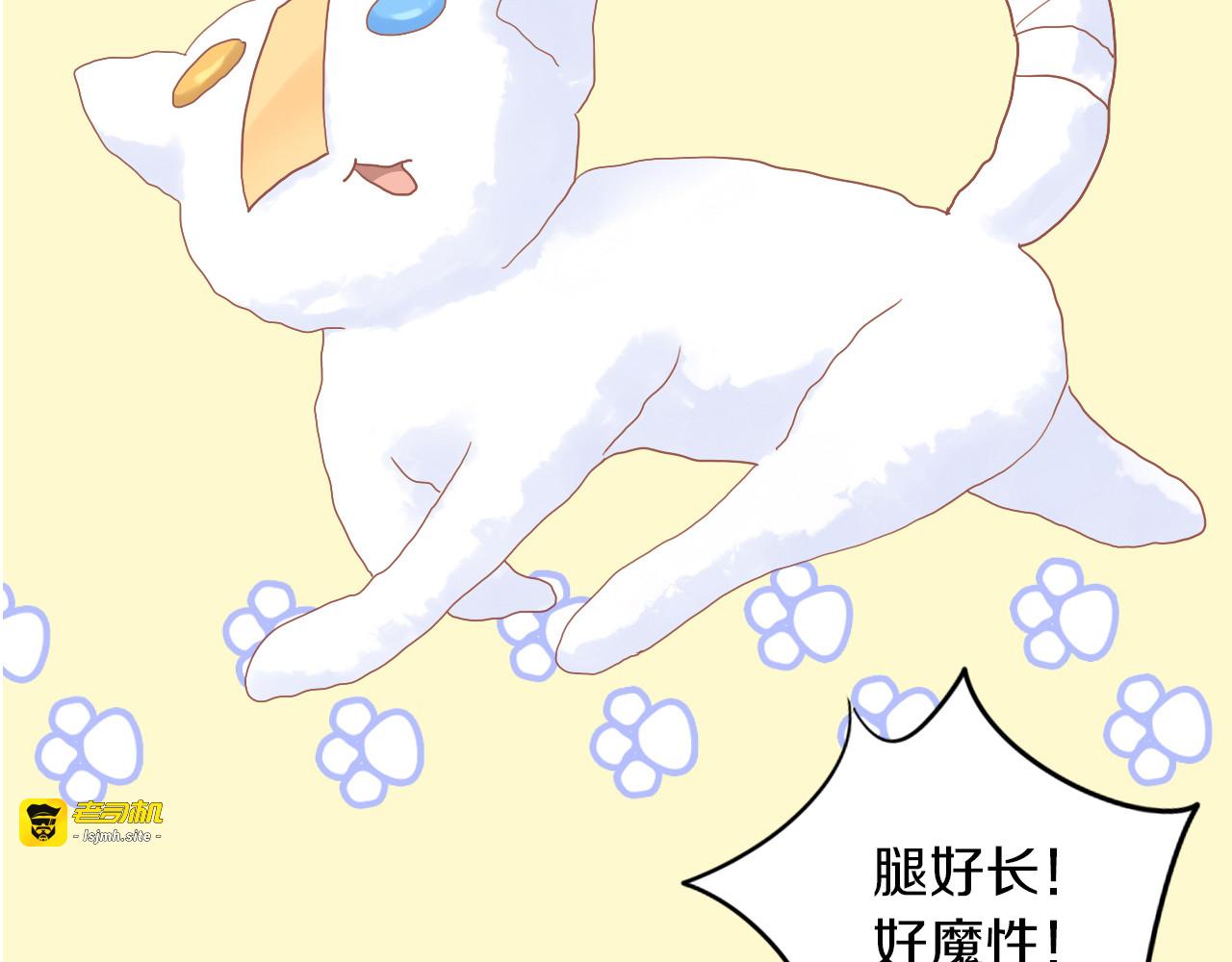 第195话  宠物毛毡 第 57 页