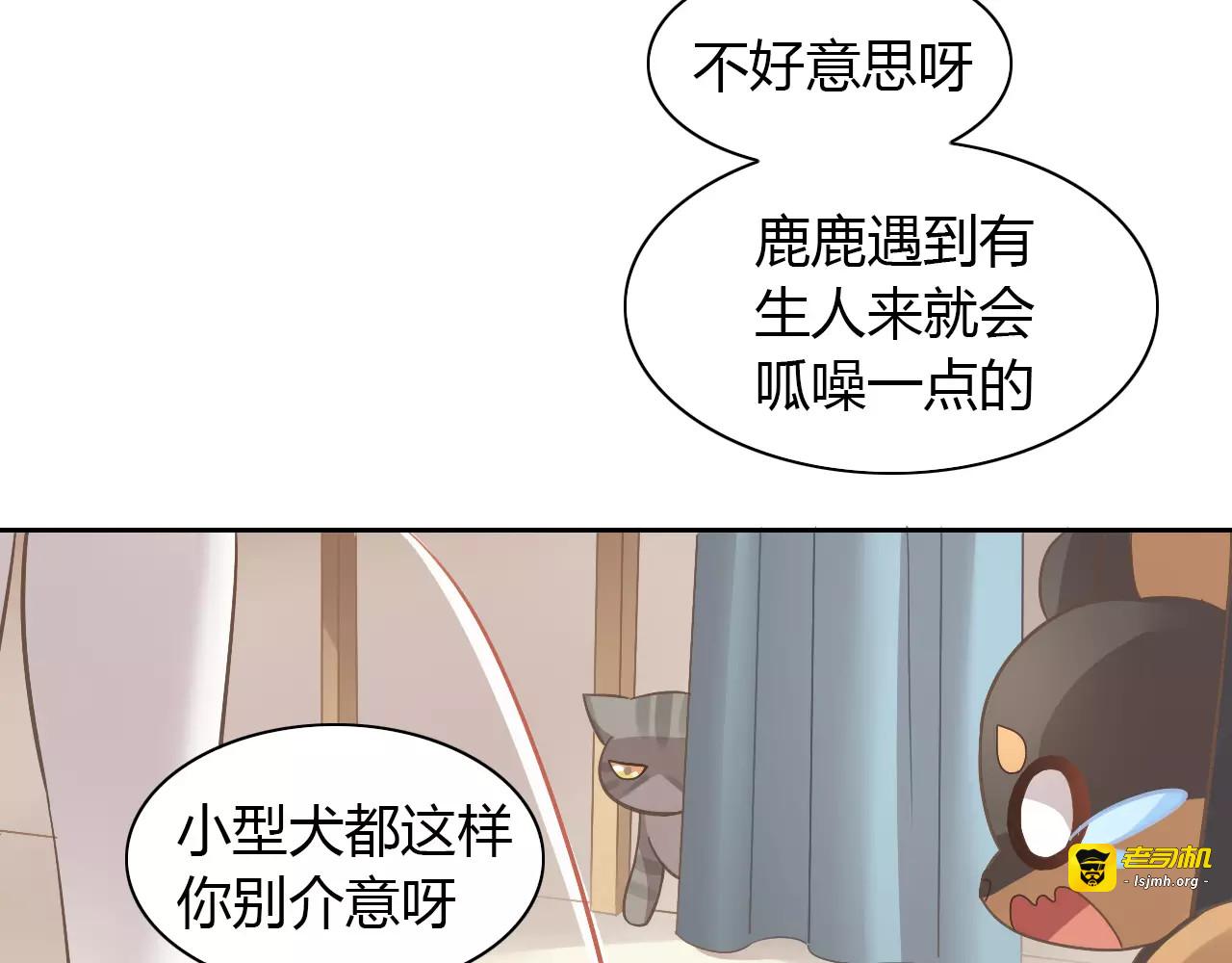 第27话 总攻现身 第 13 页