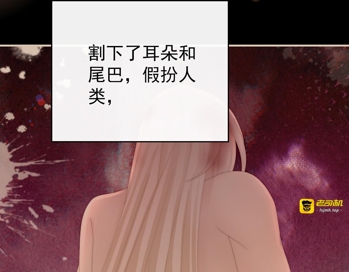 134 死局 第 71 页