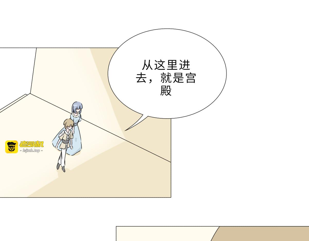 第六章 初见魔术师 第 11 页