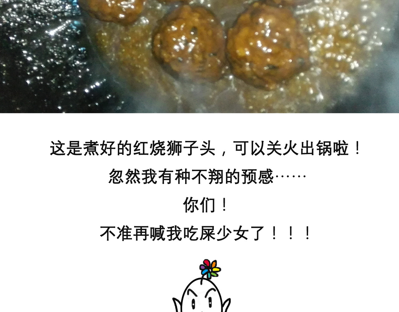 红烧狮子头 第 28 页