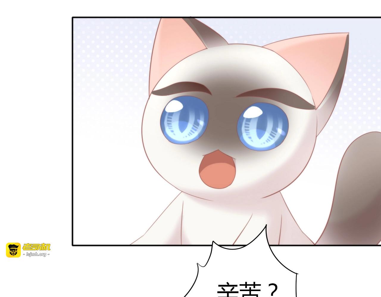 第133话 撸猫技师（一） 第 35 页
