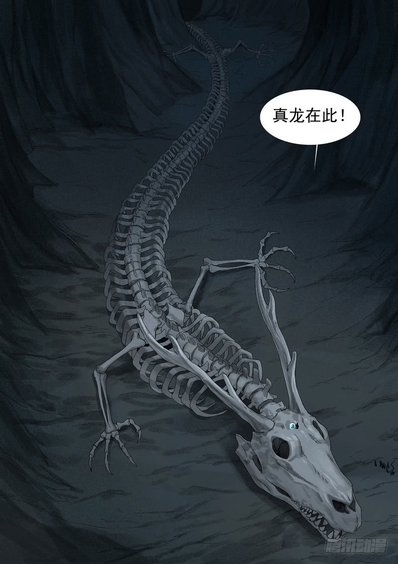 总352·真龙 第 12 页