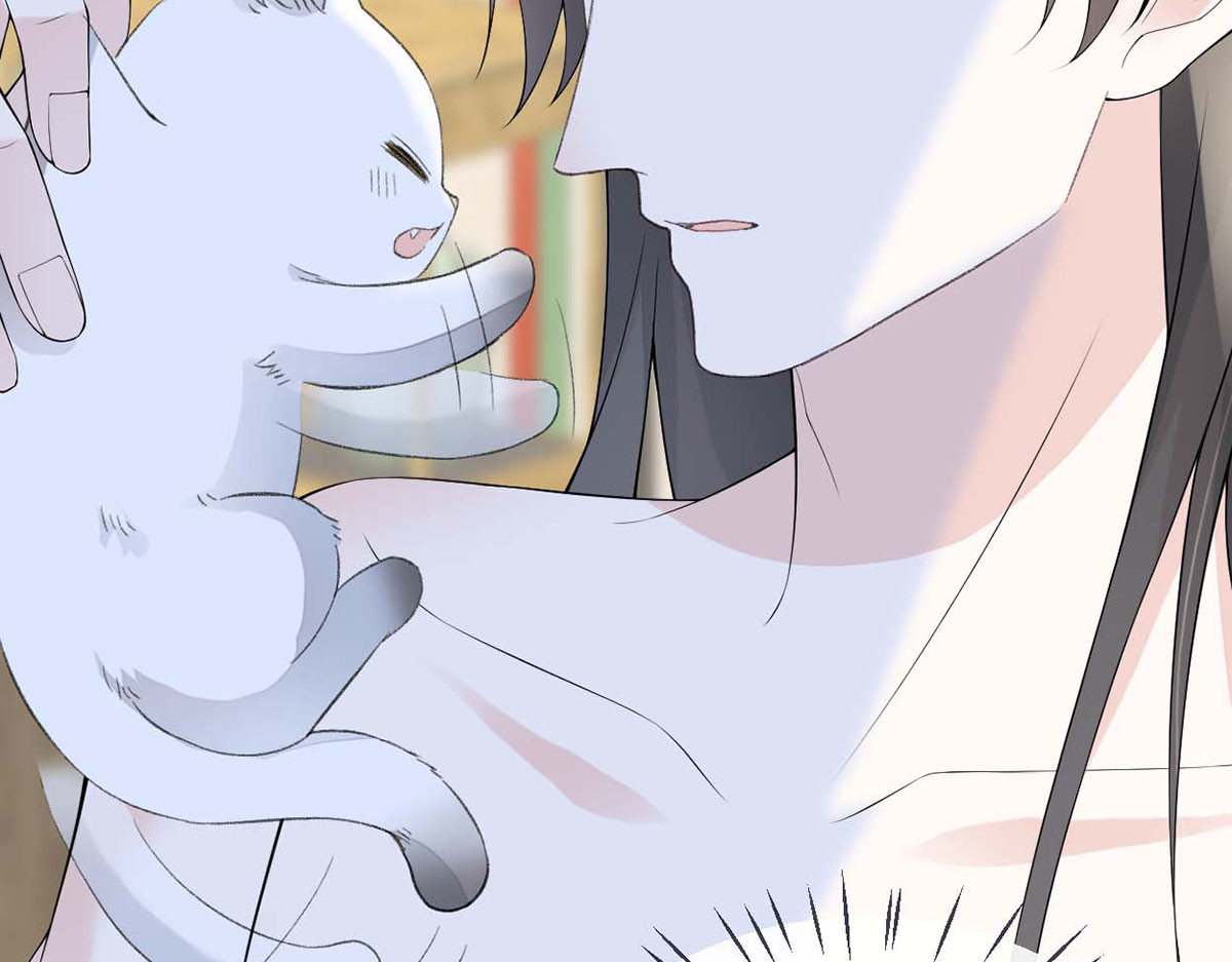 第179话 猫咪踩奶 第 12 页