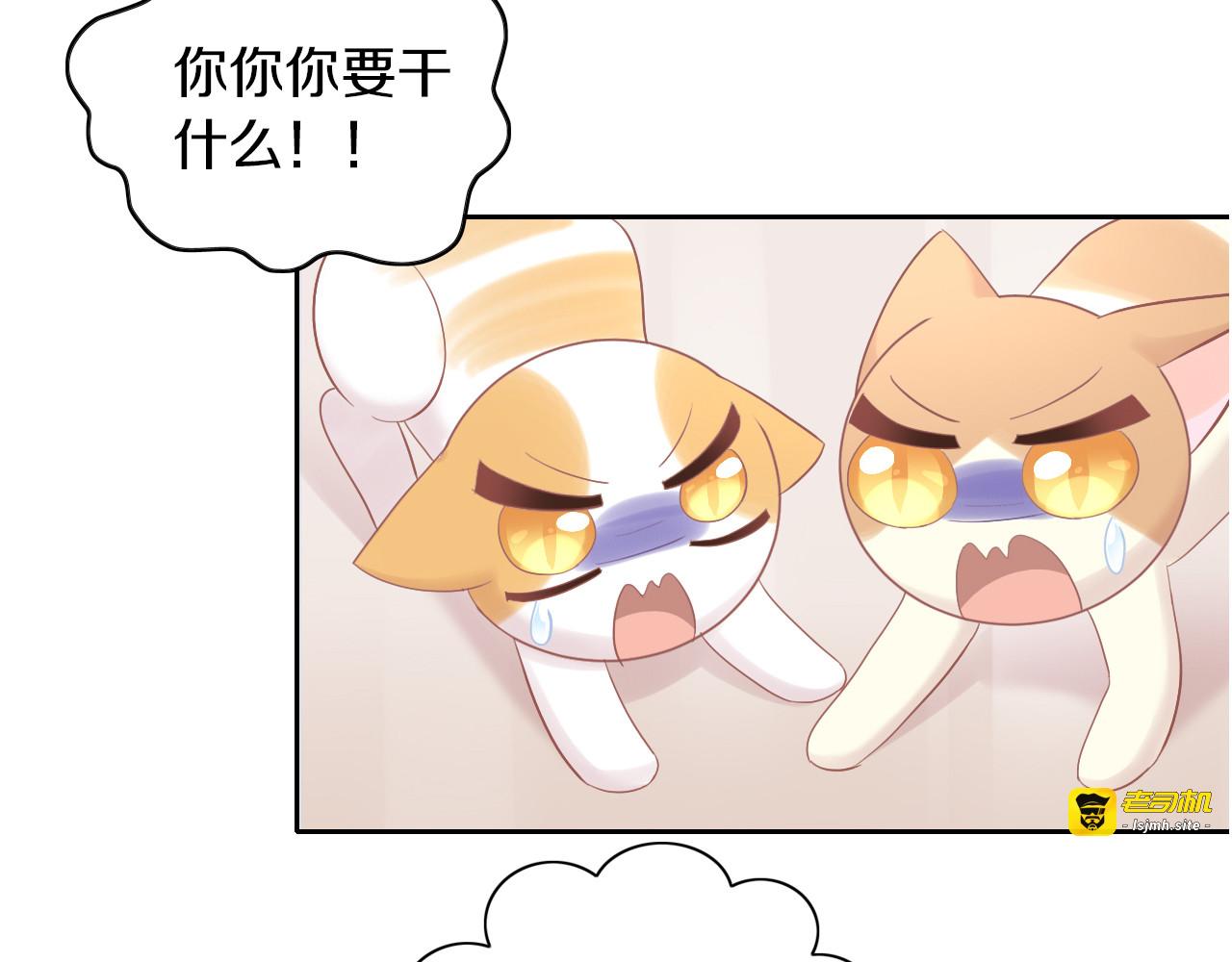 第195话  宠物毛毡 第 25 页
