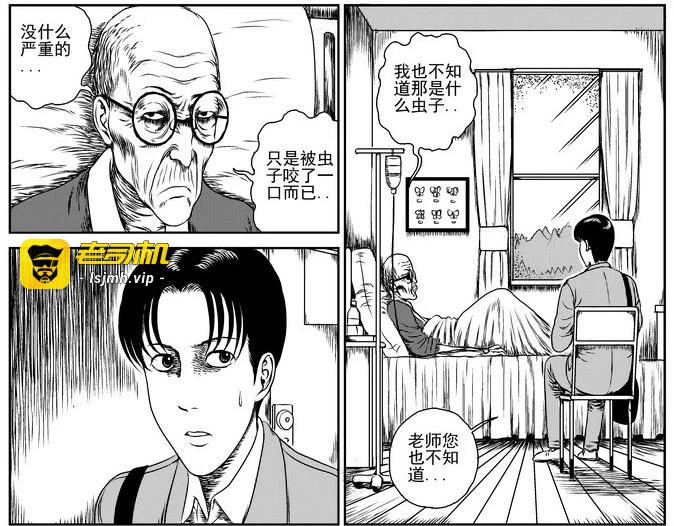 昆虫学家（上） 第 19 页