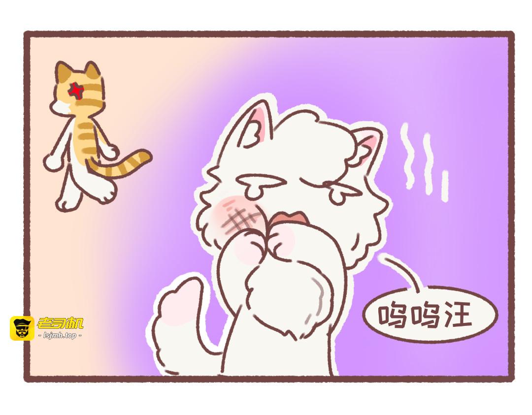 迷路 第 9 页