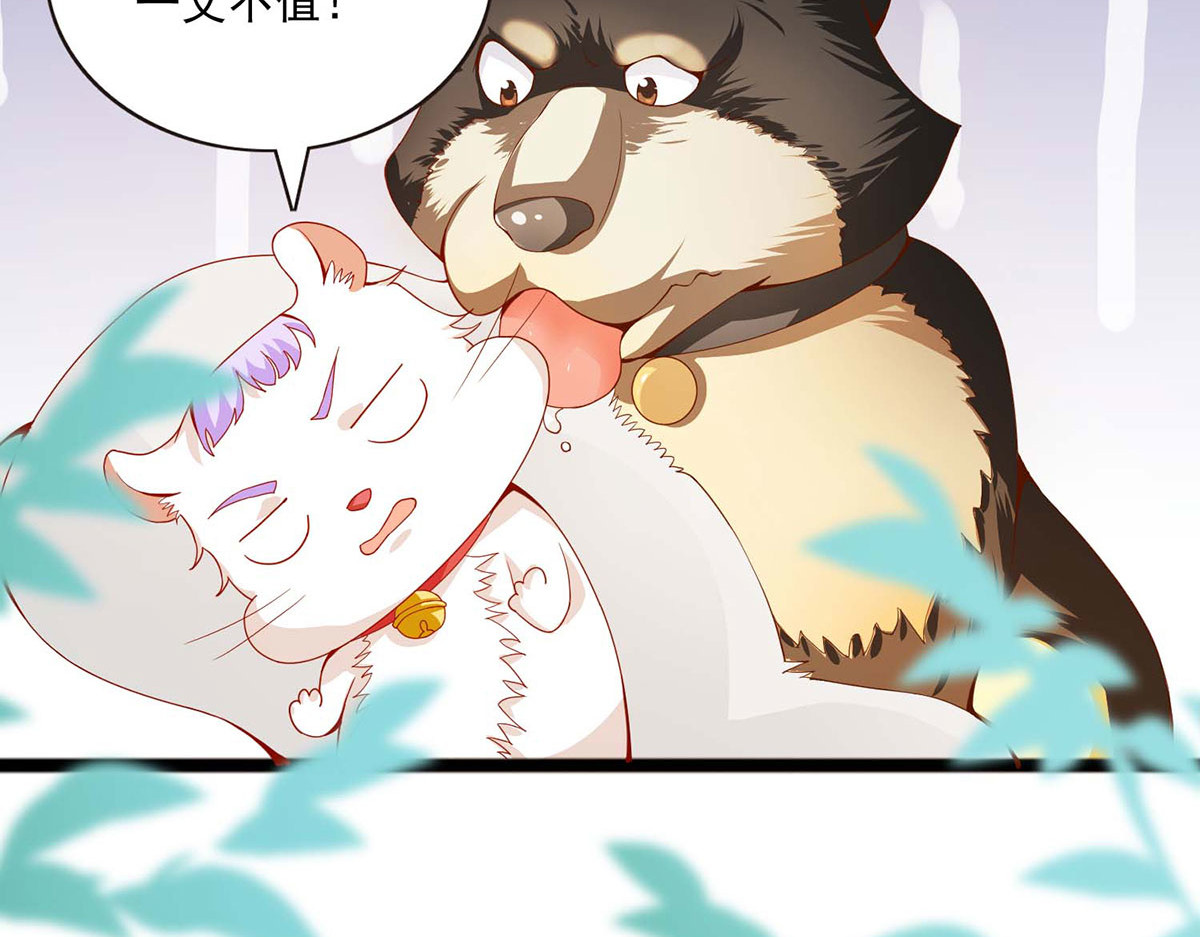 第37话 第 66 页