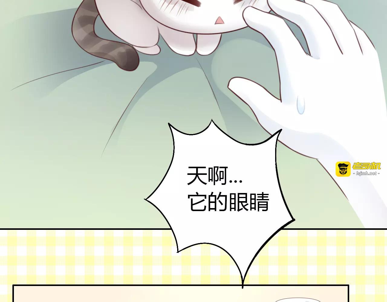 第41话 小可怜竟然是？ 第 11 页