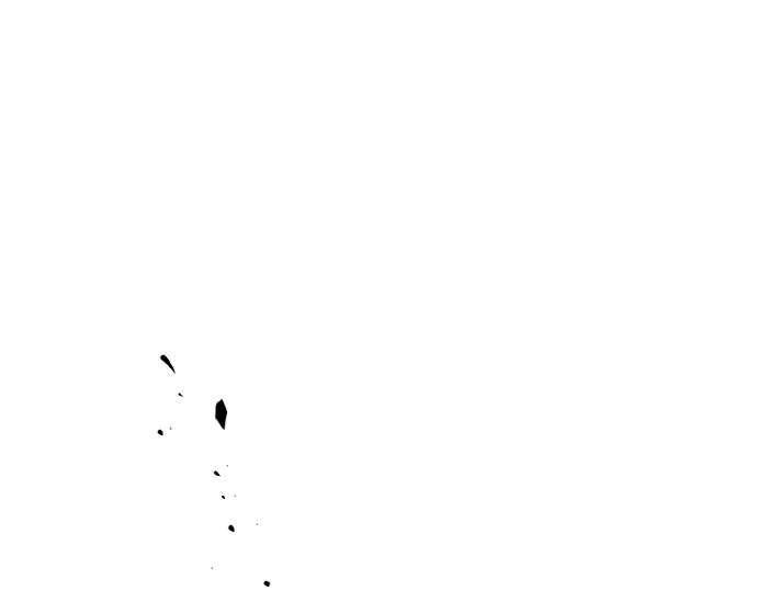 第151话 第 80 页