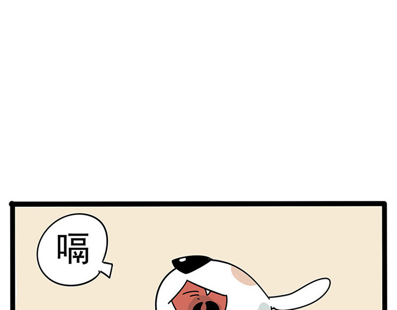 番外 第 12 页