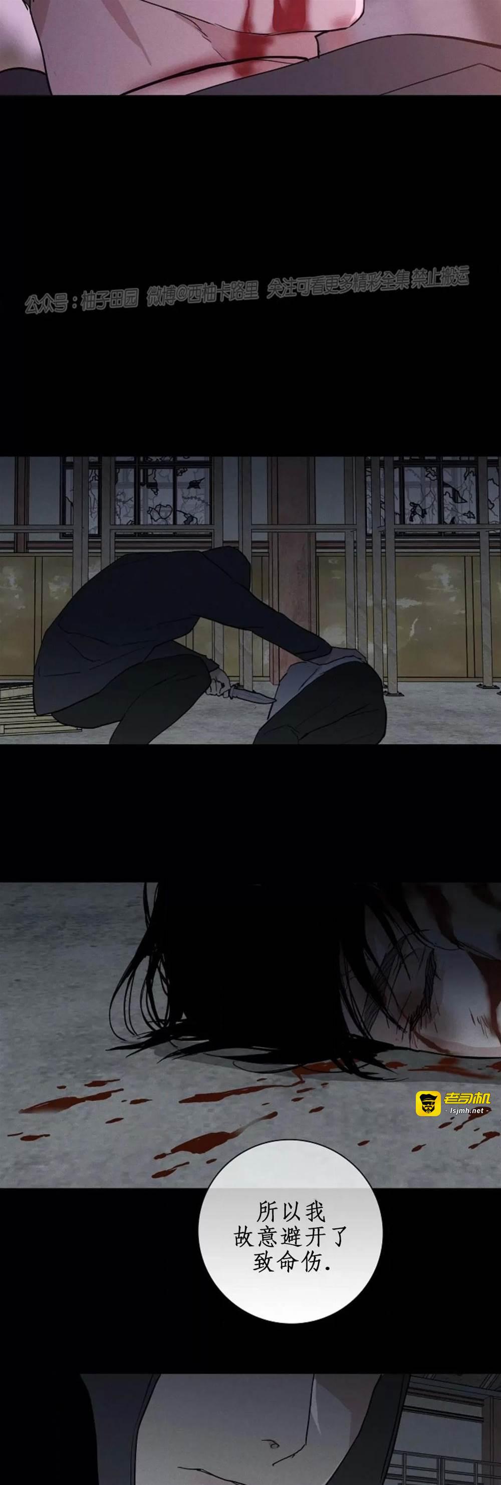 第74话 第 31 页