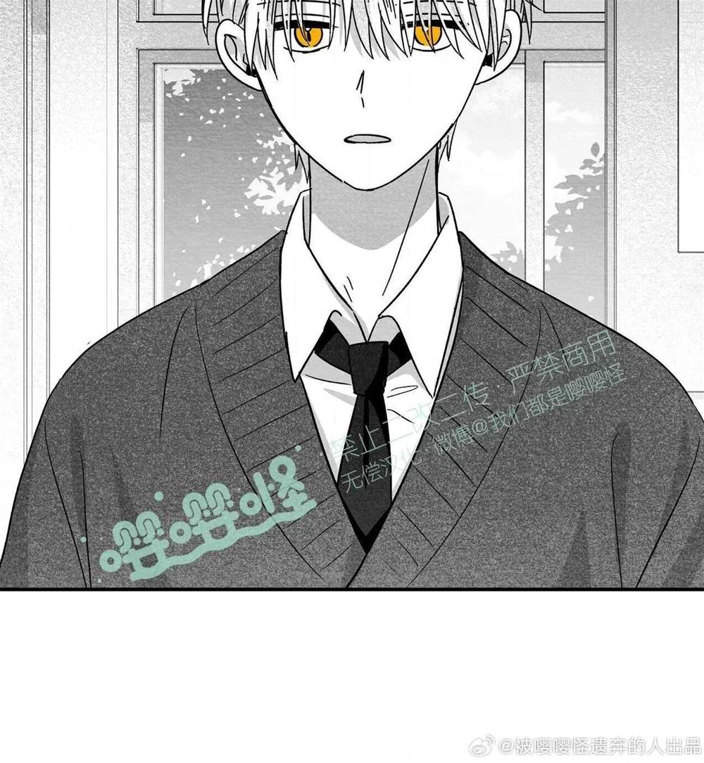 第53话 第 50 页