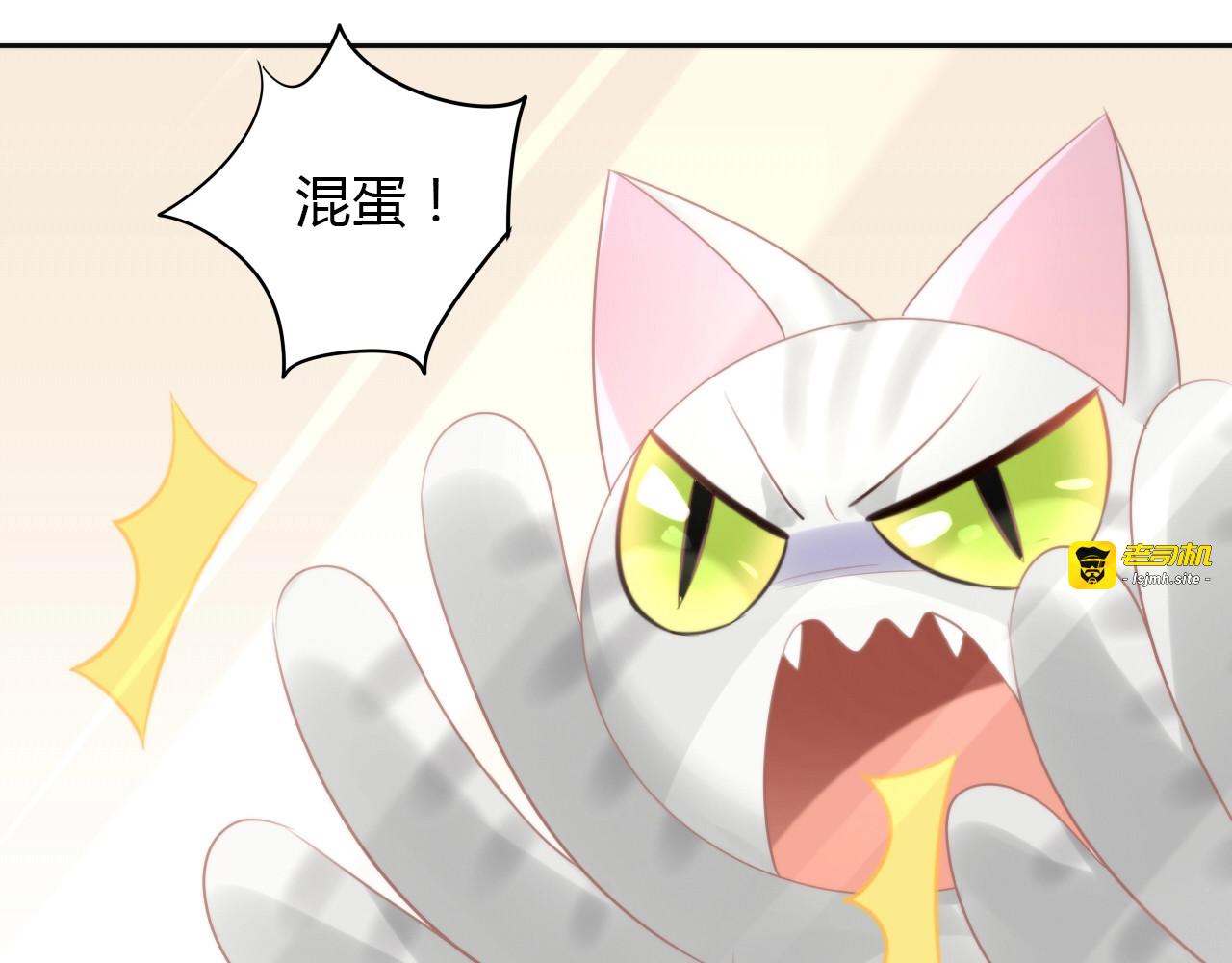 第125话 猫舍C位（一） 第 53 页