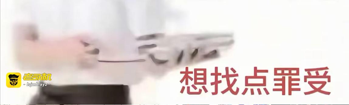 介绍 第 15 页