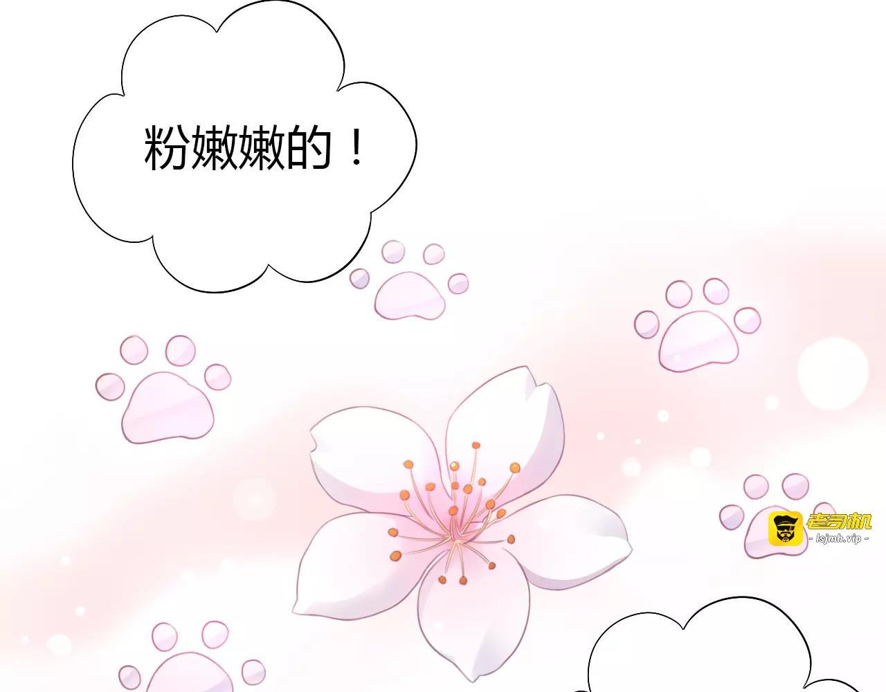 第38话 樱花果冻 第 11 页
