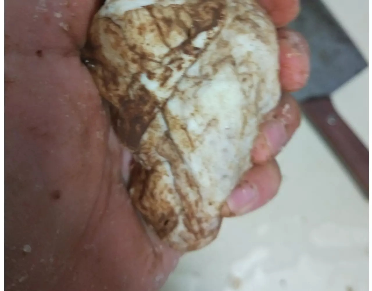小绵羊面包 第 18 页