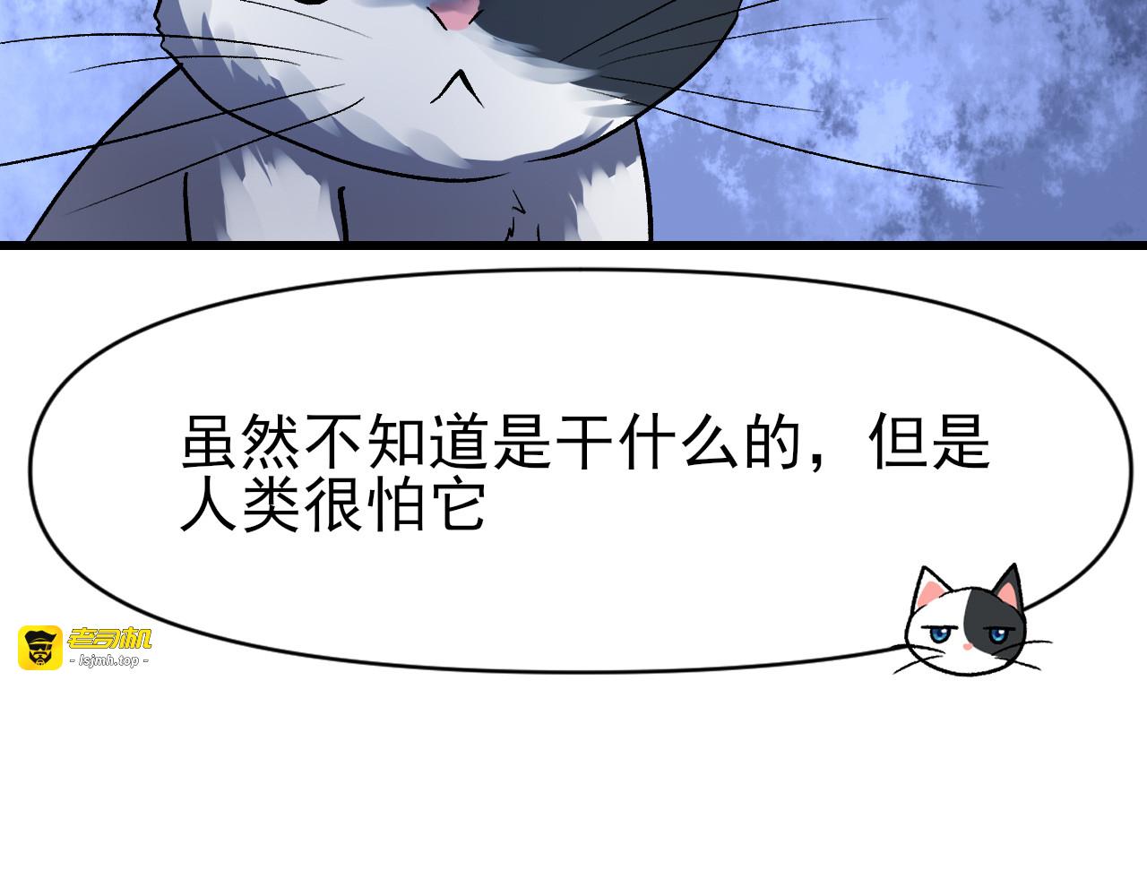 小猫不懂这些 第 59 页