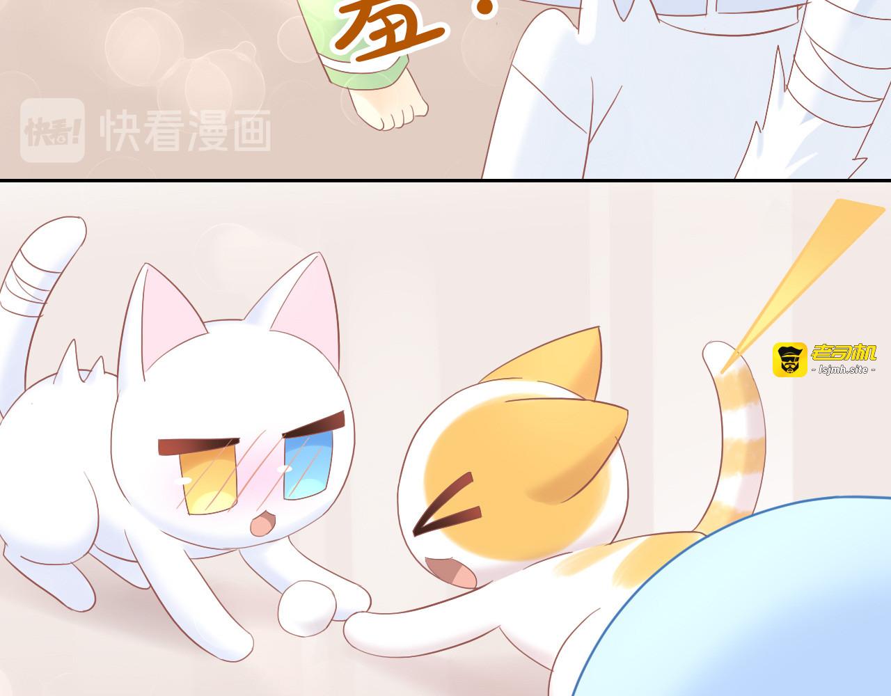 第195话  宠物毛毡 第 47 页