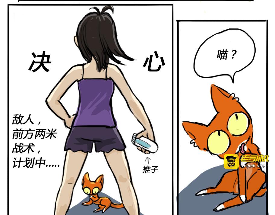 换毛季 第 5 页