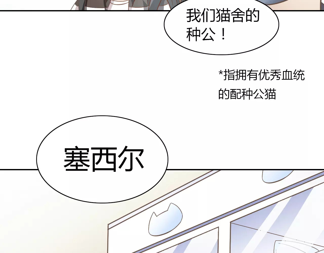第27话 总攻现身 第 52 页