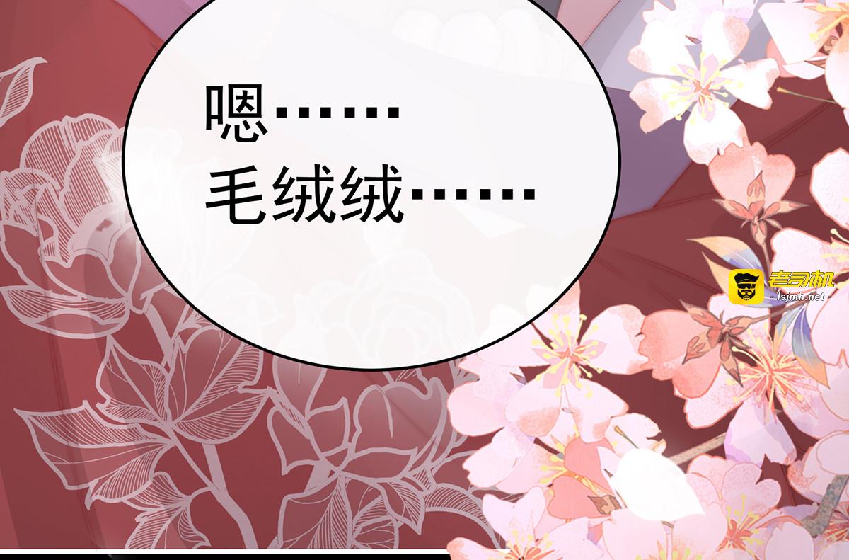39 你有别的狗了 第 67 页