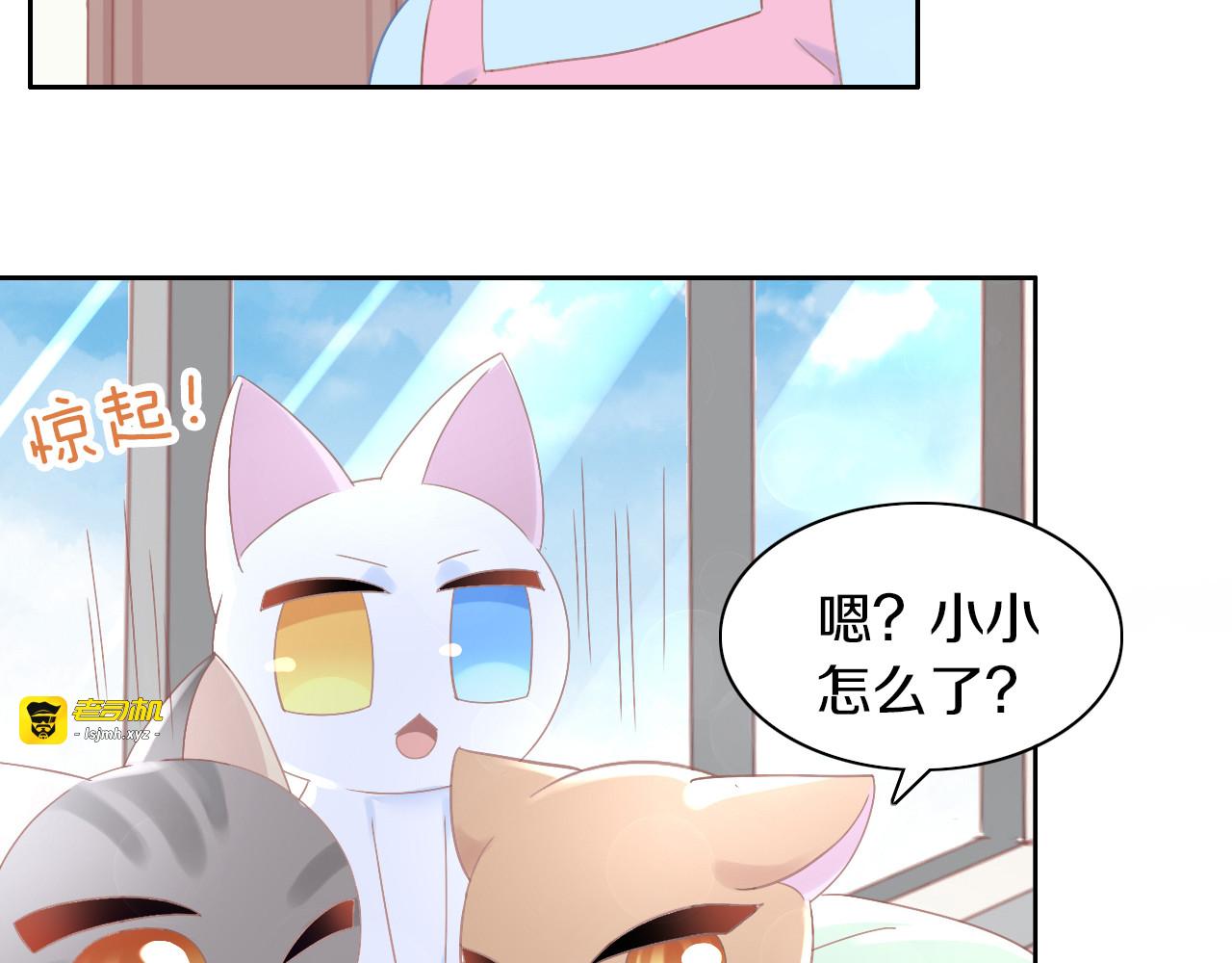 第183话  恼人的耳螨 第 19 页