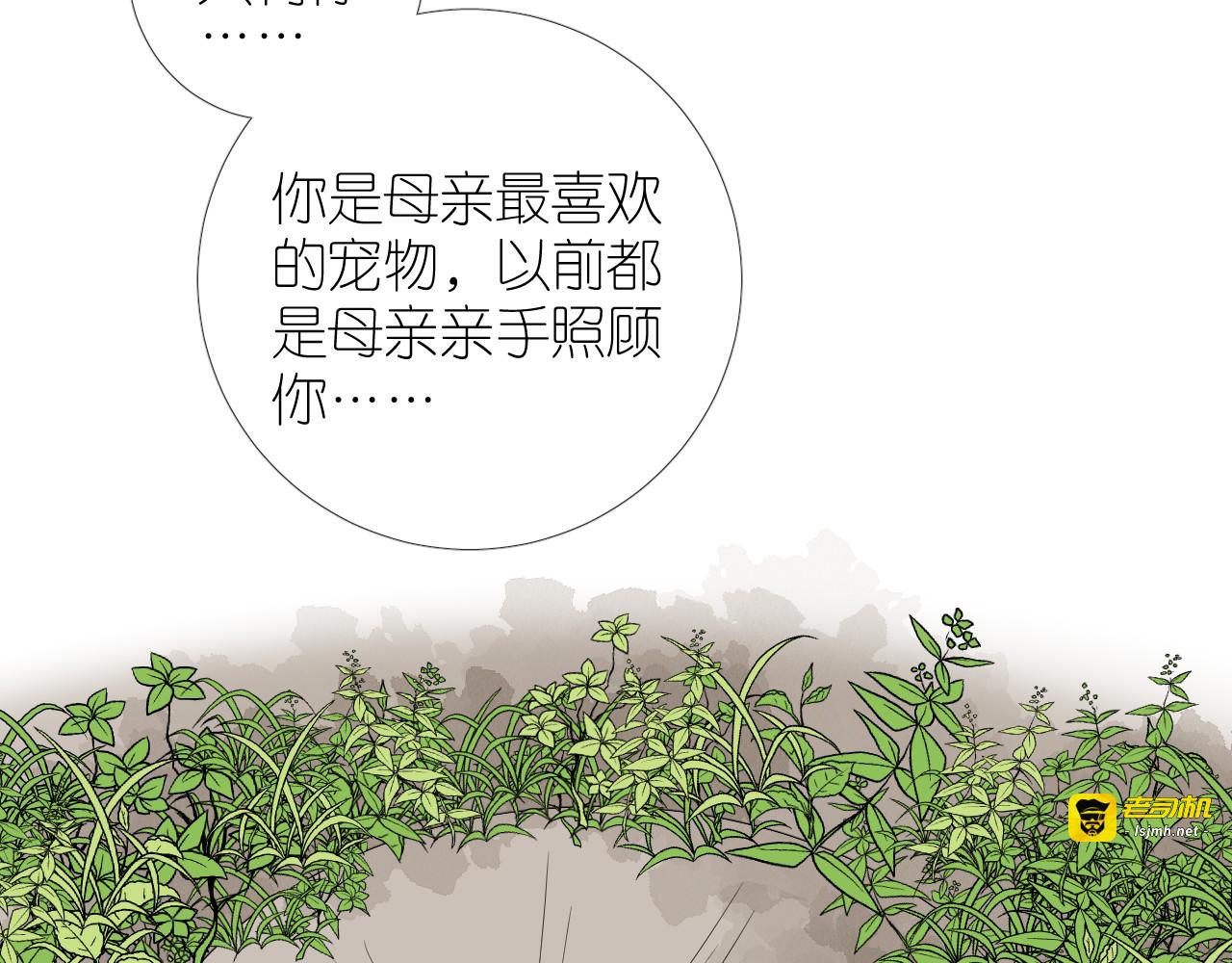 第二季 32.许愿树的精灵 第 13 页