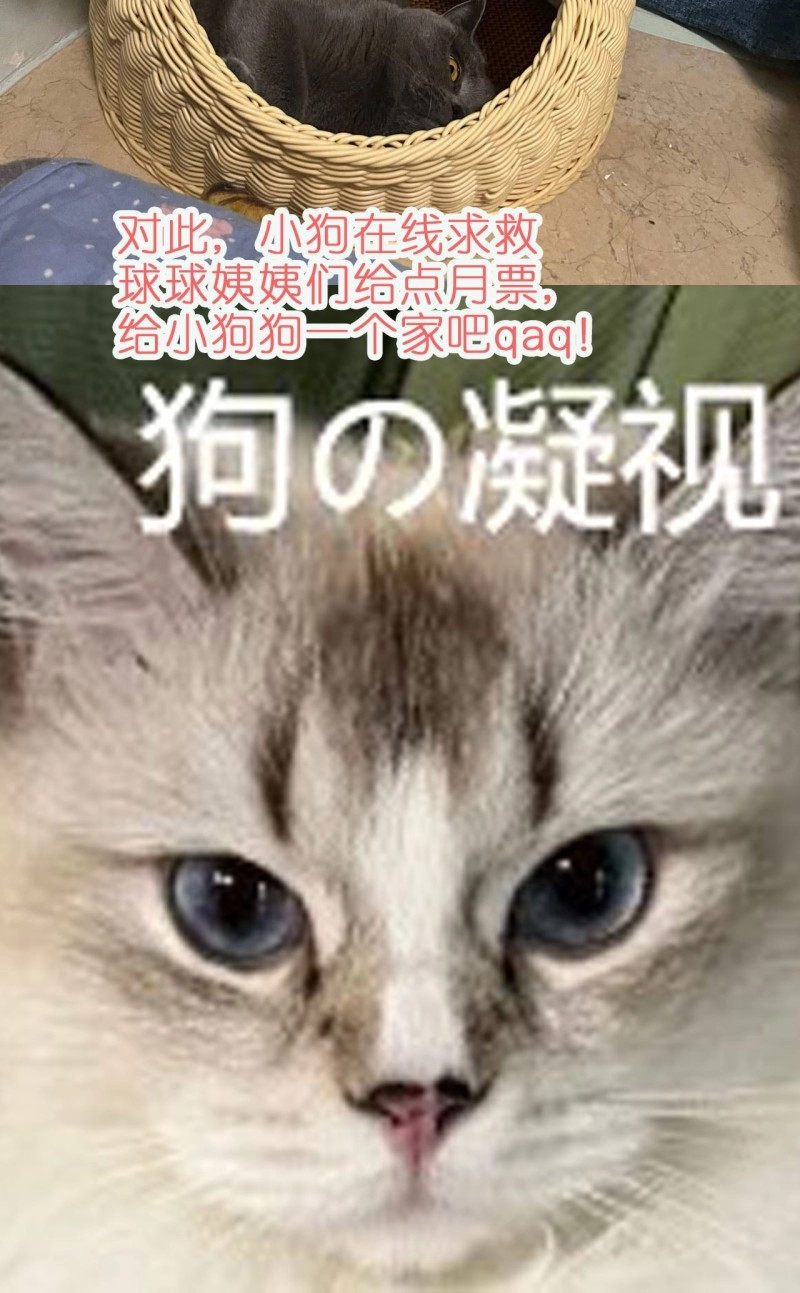 第40话 第37话防不胜防的情敌们 第 58 页