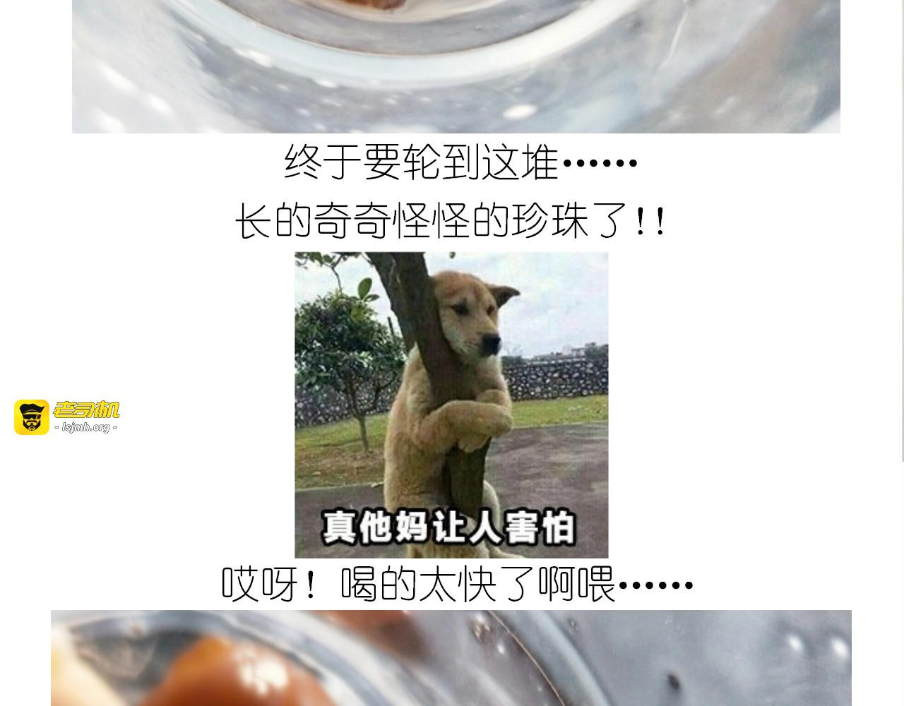 仙女的珍珠奶茶 第 55 页