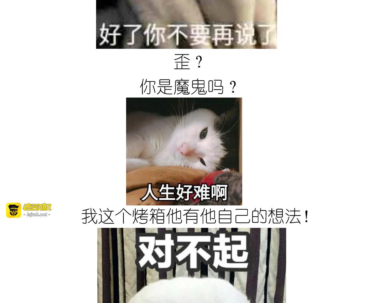 仙女蔓越莓奶酥 第 29 页