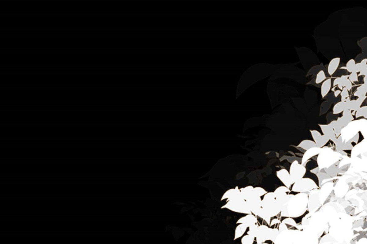 第43话 第 22 页