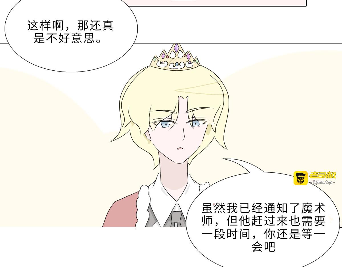第六章 初见魔术师 第 19 页