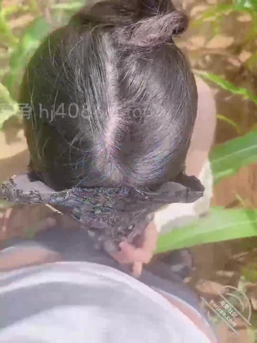 表姐说带我掰玉米,结果到玉米地扒开裤子给我舔鸡巴 预览截图 2