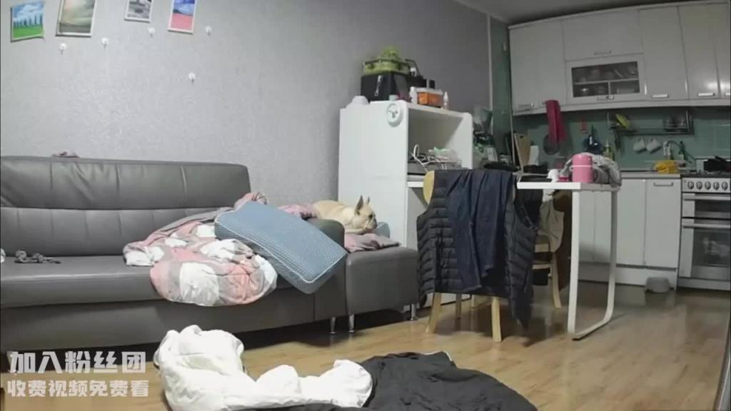 姐夫和小姨子趁姐姐没回来在沙发上插逼小狗A明阳好 预览截图 4