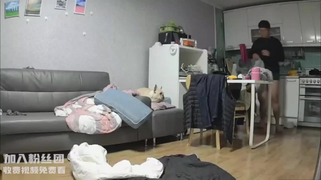 姐夫和小姨子趁姐姐没回来在沙发上插逼小狗A明阳好 预览截图 3