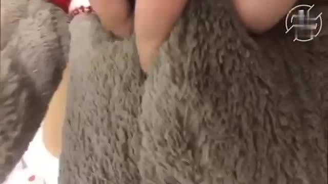 摁着小姨的屁股疯狂开炮，叫床声我感觉邻居都能听到了 预览截图 6