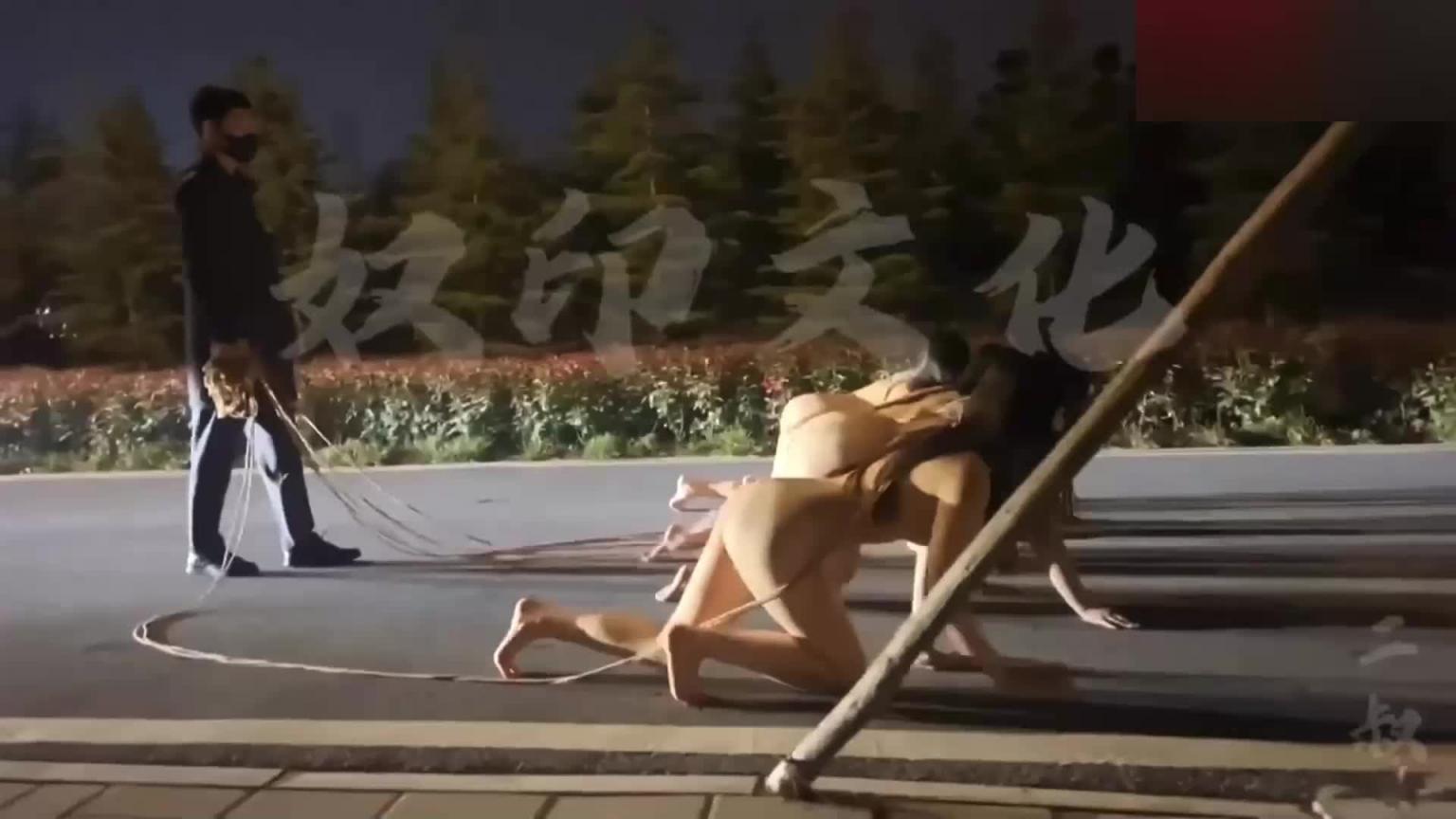 5位女大学生SM调教场面震撼全网独家 预览截图 1