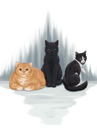 猫. 猫.