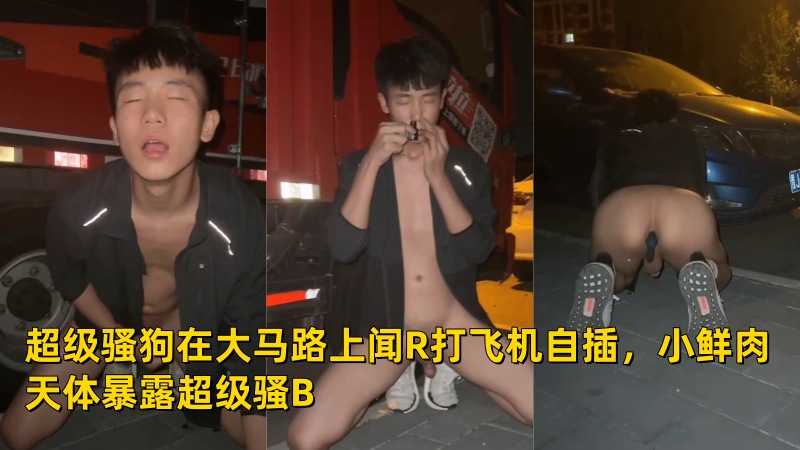 骚狗骚奴在大马路上闻R打飞机自插，小鲜肉天体暴露超级骚
