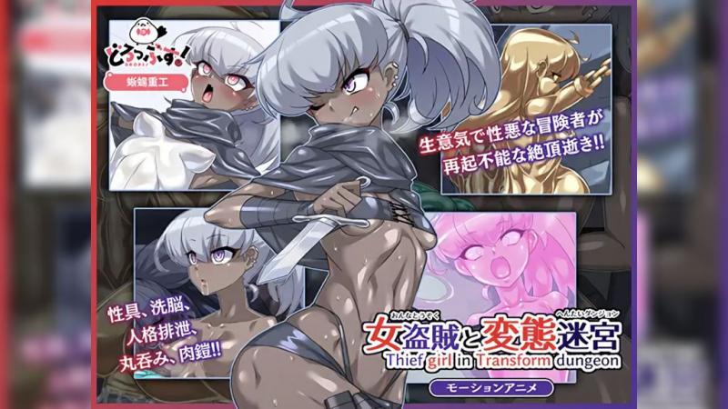 女盗贼与变态迷宫 [中文字幕] 视频封面