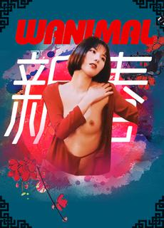 色影大师 王动 阿朱诱惑写真